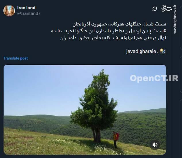 سمت شمال جنگلهای هیرکانی جمهوری آذربایجان + عکس